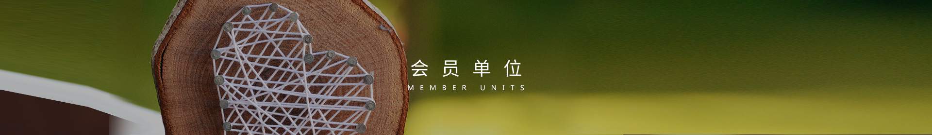 会员单位