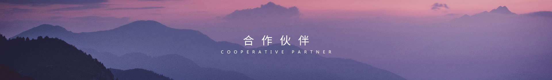 合作伙伴