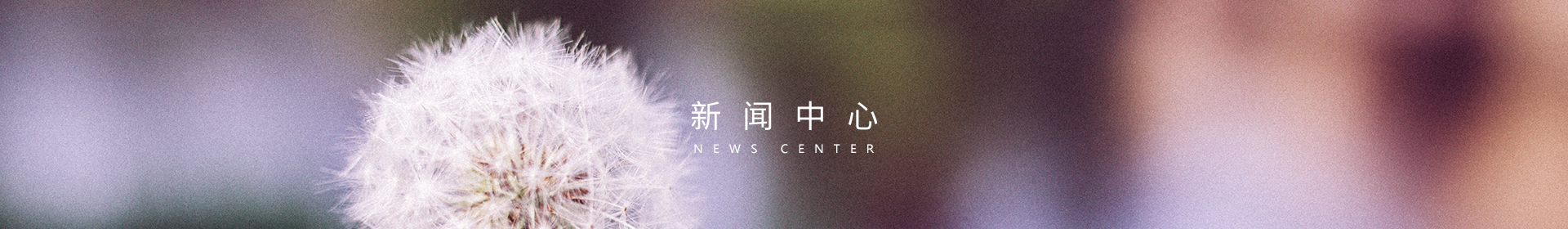 新闻中心