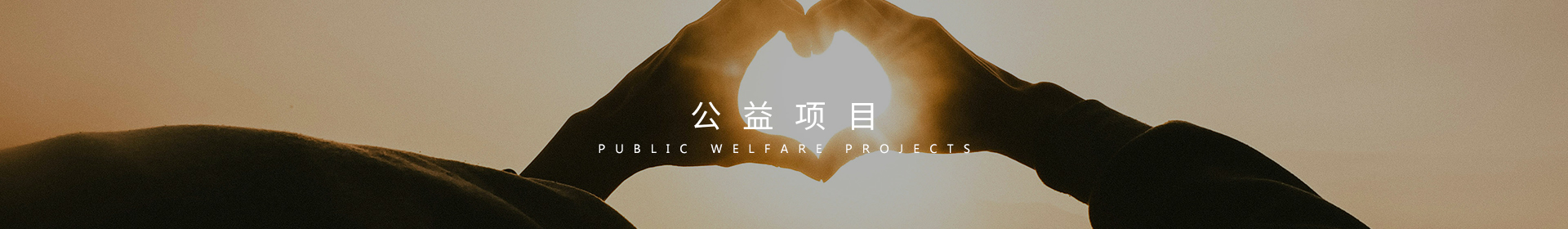 公益项目